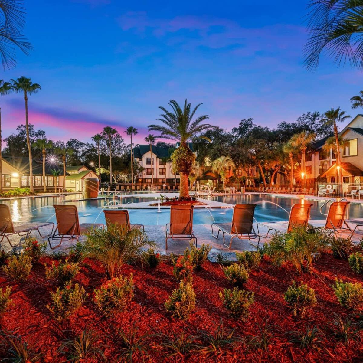 Long Term Allowed Pet Friendly & Pool Tampa