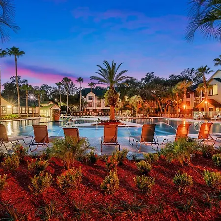 Long Term Stays Allowed Pet Friendly & Pool Tampa Extérieur photo