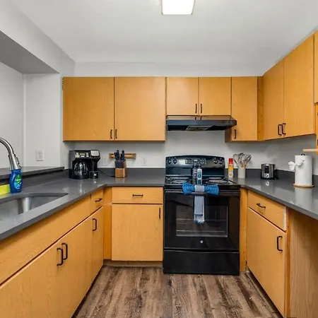Long Term Stays Allowed Pet Friendly & Pool Tampa Extérieur photo