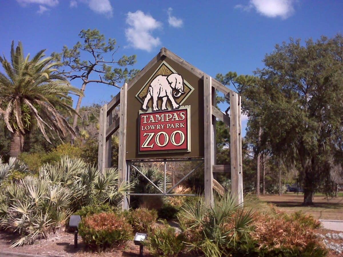 Long Term Allowed Pet Friendly & Pool Tampa