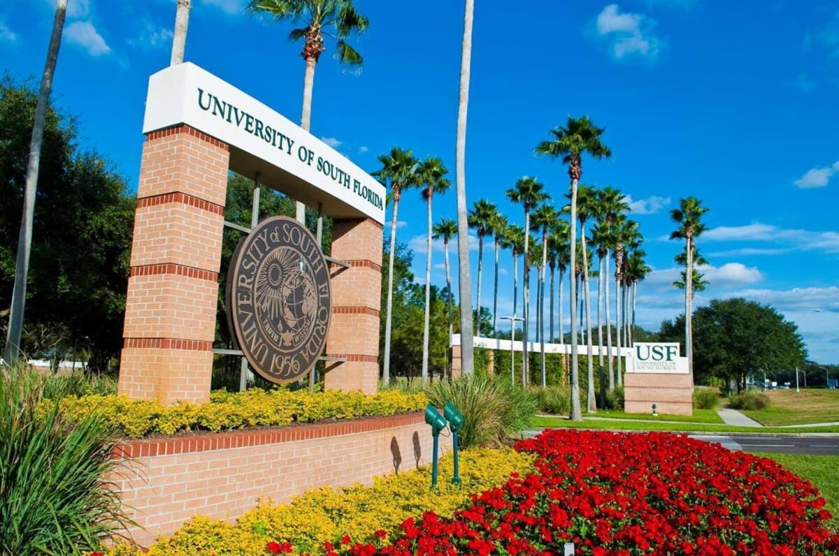 Long Term Allowed Pet Friendly & Pool Tampa